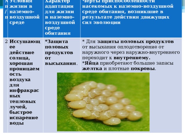 № п/п 2 Условия жизни в наземно-воздушной среде Характер адаптации для жизни в наземно-воздушной среде обитания Иссушающее действие солнца, хорошая проницаемость воздуха для инфракрасных тепловых лучей, быстрое испарение воды *Защита половых продуктов от высыхания . Черты приспособленности насекомых к наземно-воздушной среде обитания, возникшие в результате действия движущих сил эволюции * Для защиты половых продуктов от высыхания оплодотворение от наружного через наружно-внутреннего переходит к внутреннему. * Яйца приобретают большие запасы желтка и плотные покровы . 