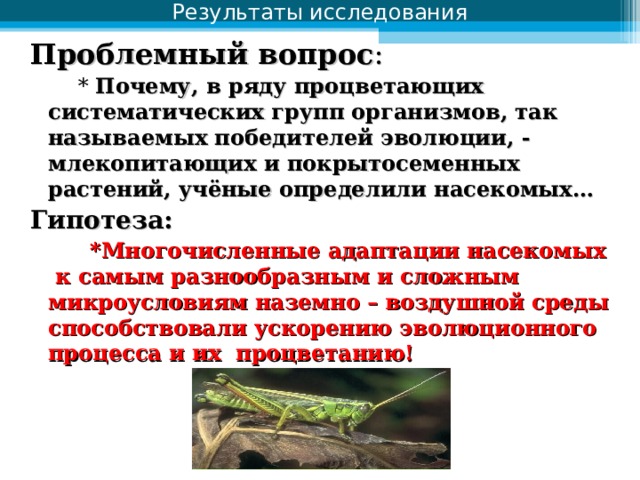 Результаты исследования Проблемный вопрос :  * Почему,  в ряду процветающих систематических групп организмов, так называемых победителей эволюции, - млекопитающих и покрытосеменных растений, учёные определили насекомых… Гипотеза:  *Многочисленные адаптации насекомых к самым разнообразным и сложным микроусловиям наземно – воздушной среды способствовали ускорению эволюционного процесса и их процветанию!  