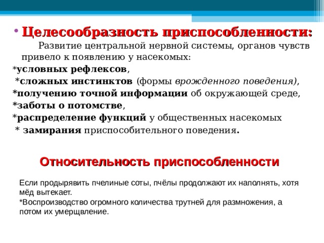 Целесообразность приспособленности:  Развитие центральной нервной системы, органов чувств привело к появлению у насекомых: * условных рефлексов ,  * сложных инстинктов ( формы  врожденного поведения) , *получению точной информации об окружающей среде, *заботы о потомстве , * распределение функций у общественных насекомых  * замирания приспособительного поведения . Относительность приспособленности Если продырявить пчелиные соты, пчёлы продолжают их наполнять, хотя мёд вытекает. *Воспроизводство огромного количества трутней для размножения, а потом их умерщвление. 