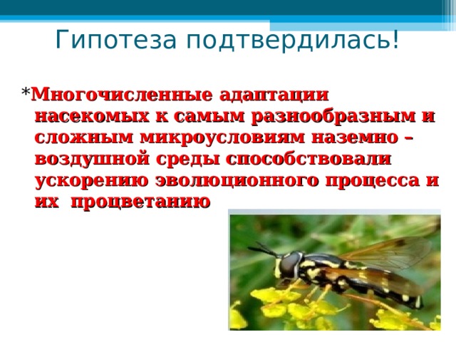 Адаптация насекомых к сезонным изменениям. Адаптация насекомых. Морфологические адаптации насекомых. Вывод адаптация насекомых. Сезонные адаптации насекомых.