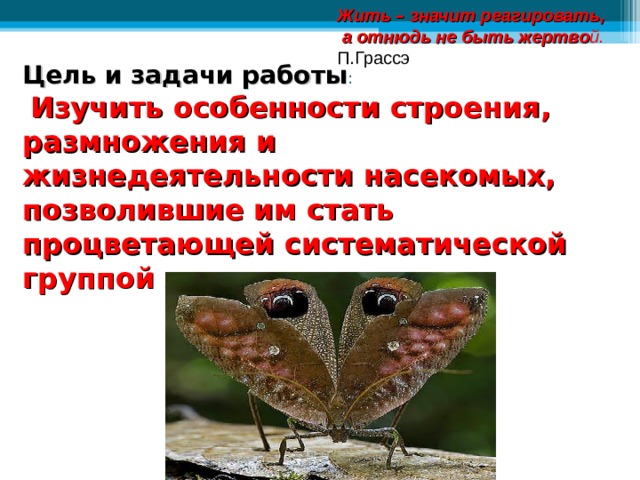 Жить – значит реагировать,  а отнюдь не быть жертво й. П.Грассэ Цель и задачи работы :   Изучить особенности строения, размножения и жизнедеятельности насекомых, позволившие им стать процветающей систематической группой животных 