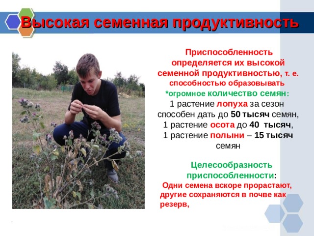 Что такое стратегия жизни в биологии. Смотреть фото Что такое стратегия жизни в биологии. Смотреть картинку Что такое стратегия жизни в биологии. Картинка про Что такое стратегия жизни в биологии. Фото Что такое стратегия жизни в биологии