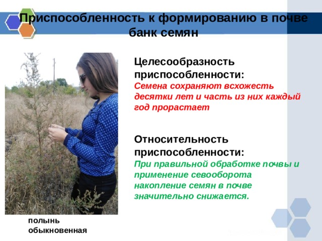 Что такое стратегия жизни в биологии. Смотреть фото Что такое стратегия жизни в биологии. Смотреть картинку Что такое стратегия жизни в биологии. Картинка про Что такое стратегия жизни в биологии. Фото Что такое стратегия жизни в биологии