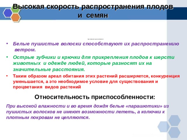 Что такое стратегия жизни в биологии. Смотреть фото Что такое стратегия жизни в биологии. Смотреть картинку Что такое стратегия жизни в биологии. Картинка про Что такое стратегия жизни в биологии. Фото Что такое стратегия жизни в биологии