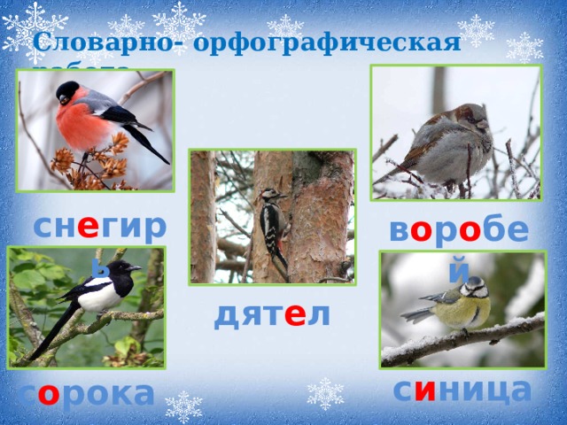 Словарно- орфографическая работа сн е гирь в о р о бей дят е л с и ница с о рока