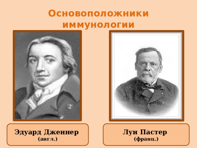 История изобретения вакцин работы э дженнера и л пастера проект