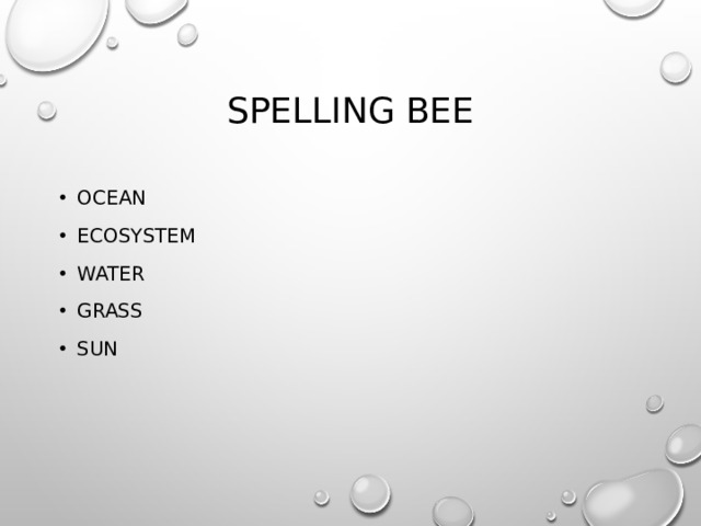 Spelling bee Ocean Ecosystem Water Grass Sun 