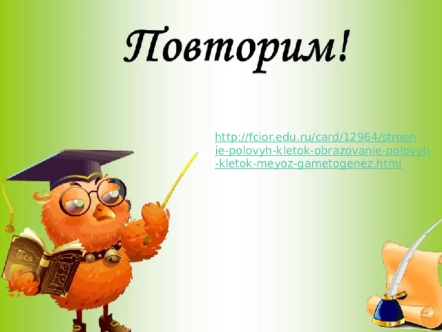 http://fcior.edu.ru/card/12964/stroenie-polovyh-kletok-obrazovanie-polovyh-kletok-meyoz-gametogenez.html  http://fcior.edu.ru/card/12964/stroenie-polovyh-kletok-obrazovanie-polovyh-kletok-meyoz-gametogenez.html Повторим! 