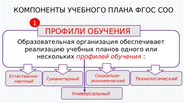 Согласно направлению. Профильные классы по ФГОС. Профили в 10 классе по ФГОС. Профили образования ФГОС. Профили обучения в 10 классе по ФГОС.