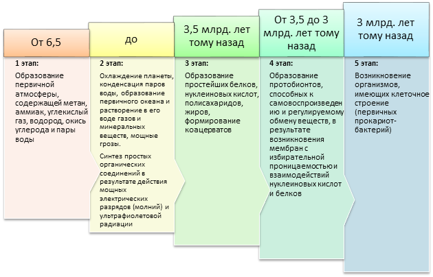 Схема этапы развития жизни