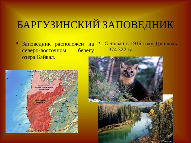 БАРГУЗИНСКИЙ ЗАПОВЕДНИК Заповедник расположен на северо-восточном берегу озера Байкал. Основан в 1916 году. Площадь – 374 322 га. 