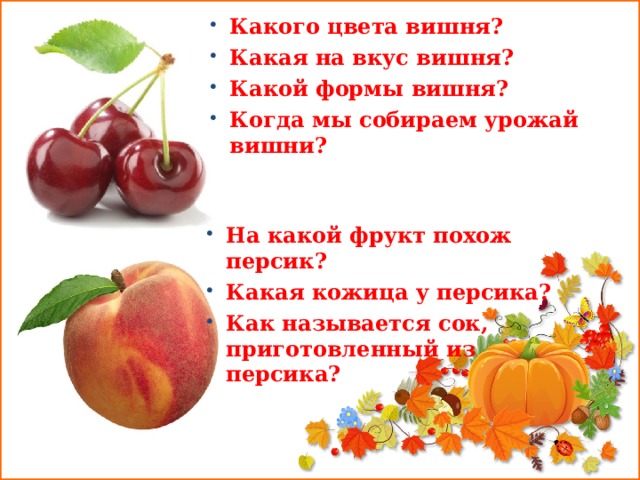  Какого цвета вишня? Какая на вкус вишня? Какой формы вишня? Когда мы собираем урожай вишни?  На какой фрукт похож персик? Какая кожица у персика? Как называется сок, приготовленный из персика?  