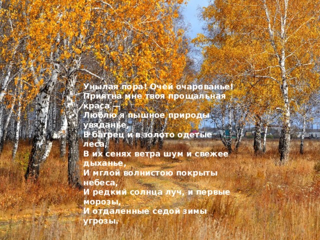 Стихотворение николая рубцова сентябрь. Стихи в золото одетые леса. Пушкин стихи о природе унылая пора. Стихотворение багрянец и золото одетые. Багрянец стих.