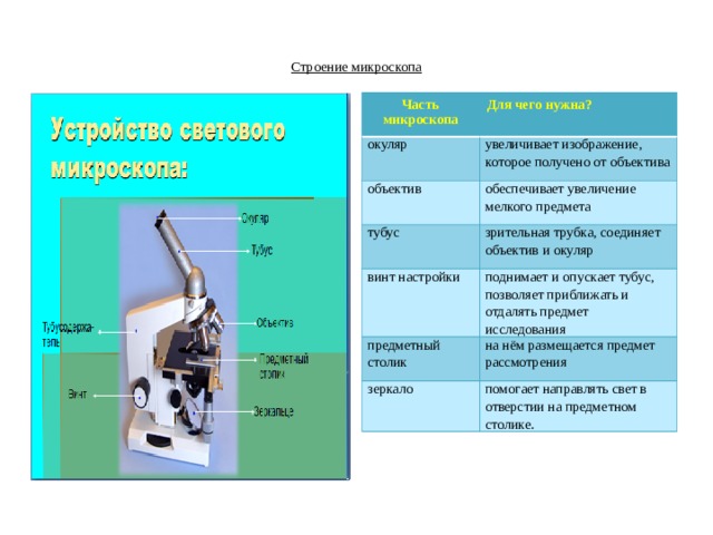 Что такое микроскоп проект 4 класс