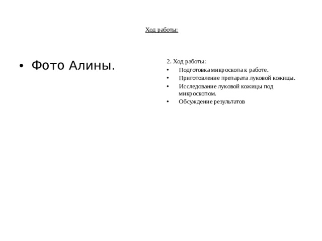 Ход работы: Фото Алины. 2. Ход работы: