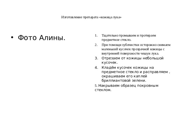 Изготовление препарата «кожица лука» Фото Алины. Тщательно промываем и протираем предметное стекло. При помощи зубочистки осторожно снимаем маленький кусочек прозрачной кожицы с внутренней поверхности чешуи лука. Отрезаем от кожицы небольшой кусочек. Кладём кусочек кожицы на предметное стекло и расправляем , окрашиваем его каплей бриллиантовой зелени. 5. Накрываем образец покровным стеклом.