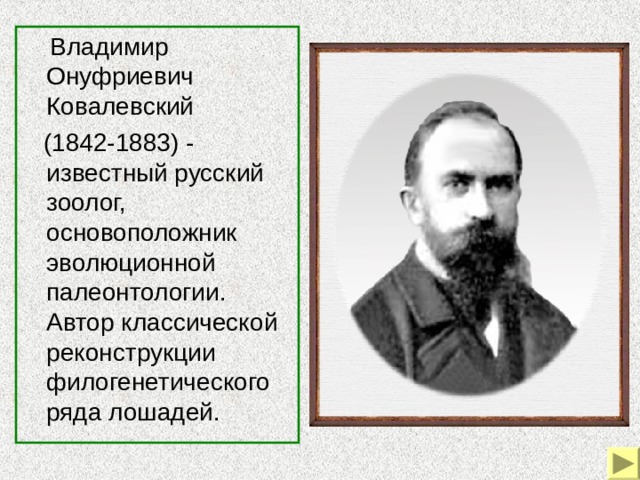  Владимир Онуфриевич Ковалевский  (1842-1883) - известный русский зоолог, основоположник эволюционной палеонтологии. Автор классической реконструкции филогенетического ряда лошадей . 