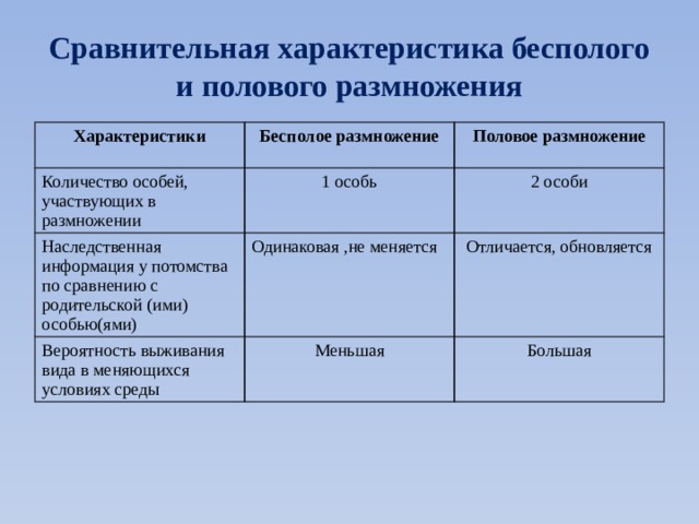 Сравнительная характеристика сравнительная портретов