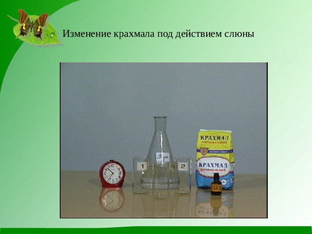 Фото результата опыта действия слюны на крахмал Пищеварительная система - Биология - Презентации - 8 класс