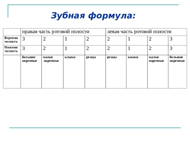 Форма осмотра стоматолога