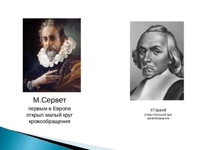 Сервет. Сервет и Гарвей. Гарвей что открыл. Мигель Сервет презентация. Сервет открыл малый круг кровообращения.