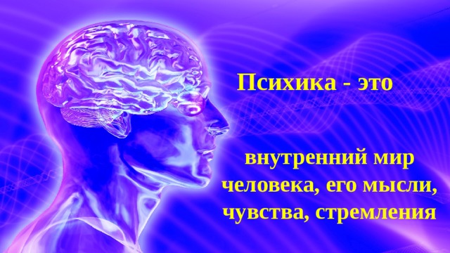 Психика - это внутренний мир человека, его мысли, чувства, стремления 