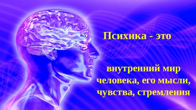 Что такое ощущение 6 класс обж. Смотреть фото Что такое ощущение 6 класс обж. Смотреть картинку Что такое ощущение 6 класс обж. Картинка про Что такое ощущение 6 класс обж. Фото Что такое ощущение 6 класс обж