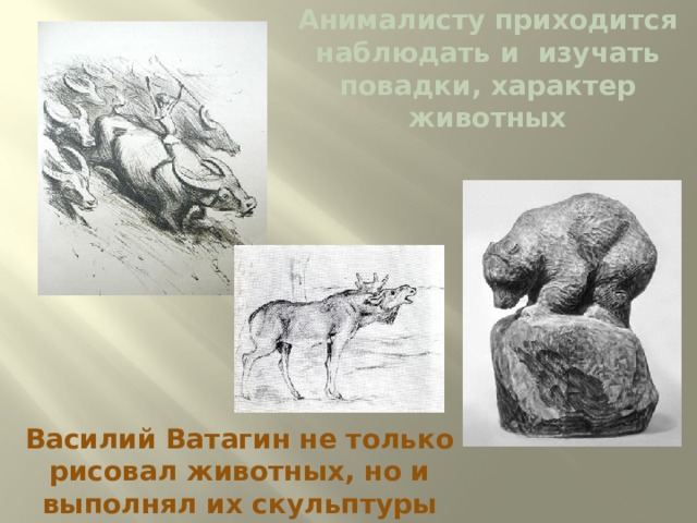 Анималисту приходится наблюдать и изучать повадки, характер животных Василий Ватагин не только рисовал животных, но и выполнял их скульптуры 