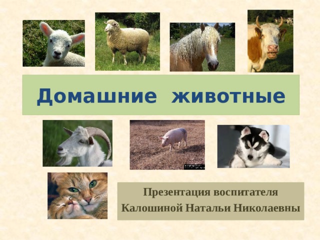 Домашние животные Презентация воспитателя Калошиной Натальи Николаевны 