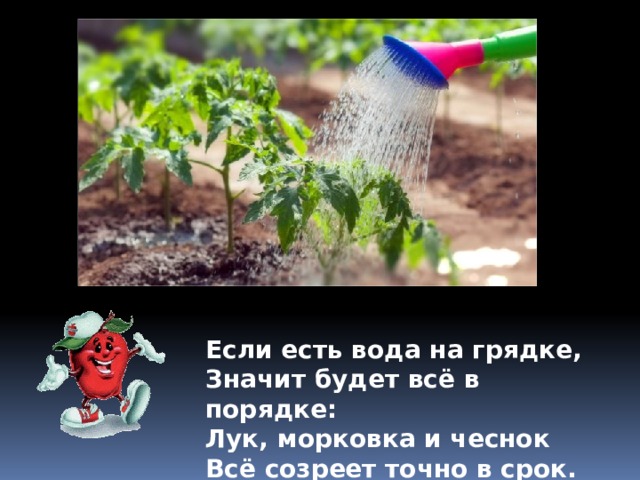 Если есть вода на грядке, Значит будет всё в порядке: Лук, морковка и чеснок Всё созреет точно в срок.  