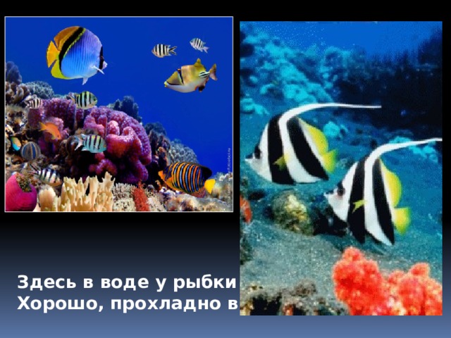 Здесь в воде у рыбки дом, Хорошо, прохладно в нём. 