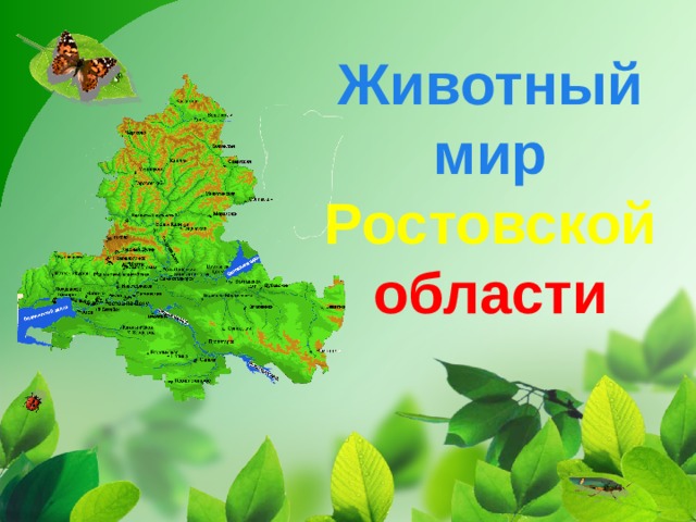 Животный мир  Ростовской  области 