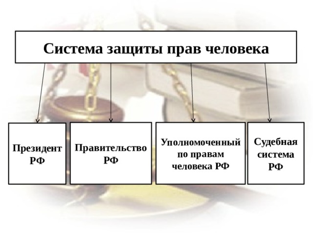 Система защиты прав человека Правительство РФ Уполномоченный по правам человека РФ Судебная система РФ Президент РФ 