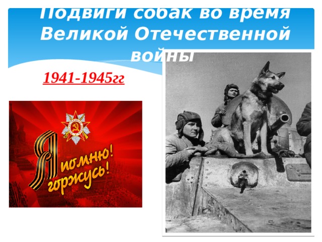 Подвиги собак во время Великой Отечественной войны      1941-1945гг 