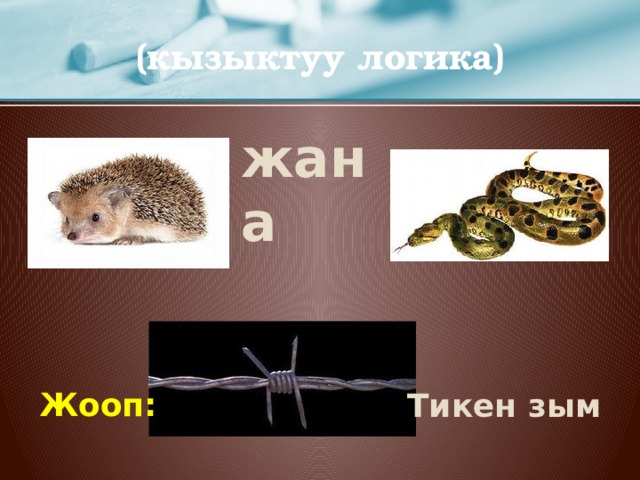 (кызыктуу логика)    жана Жооп:  Тикен зым   