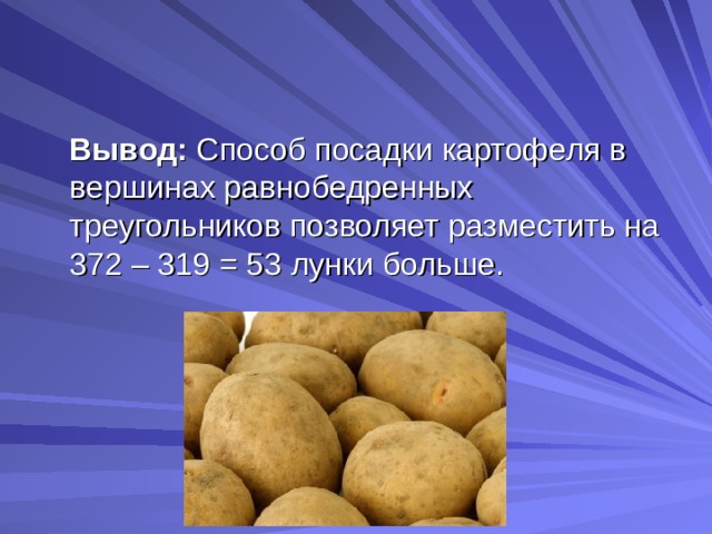  Вывод: Способ посадки картофеля в вершинах равнобедренных треугольников позволяет разместить на 372 – 319 = 53 лунки больше.   