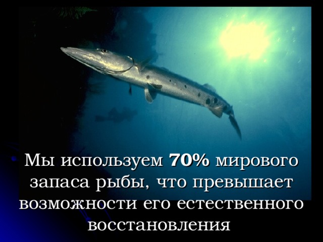 Мы используем 70% мирового запаса рыбы, что превышает возможности его естественного восстановления