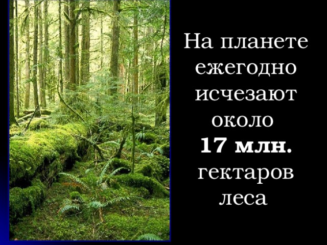 На планете ежегодно исчезают около  17 млн. гектаров леса