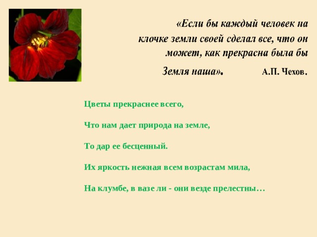 Цветы прекраснее всего,  Что нам дает природа на земле,  То дар ее бесценный.  Их яркость нежная всем возрастам мила,  На клумбе, в вазе ли - они везде прелестны…   