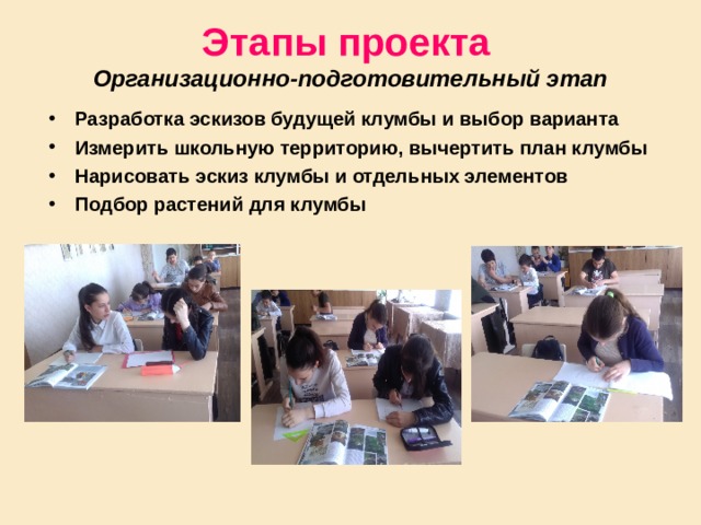 Этапы проекта   Организационно-подготовительный этап Разработка эскизов будущей клумбы и выбор варианта Измерить школьную территорию, вычертить план клумбы Нарисовать эскиз клумбы и отдельных элементов Подбор растений для клумбы   