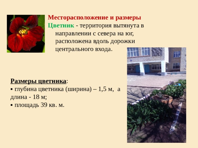 Месторасположение и размеры Цветник - территория вытянута в направлении с севера на юг, расположена вдоль дорожки центрального входа. Размеры цветника : ▪ глубина цветника (ширина) – 1,5 м, а длина - 18 м; ▪ площадь 39 кв. м. 