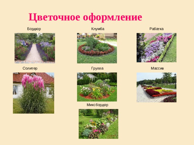 Цветочное оформление Бордюр Клумба Рабатка Массив Солитер Группа Миксбордер 