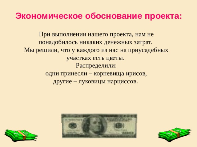 Экономическое обоснование проекта: При выполнении нашего проекта, нам не понадобилось никаких денежных затрат. Мы решили, что у каждого из нас на приусадебных участках есть цветы. Распределили:  одни принесли – корневища ирисов, другие – луковицы нарциссов. 