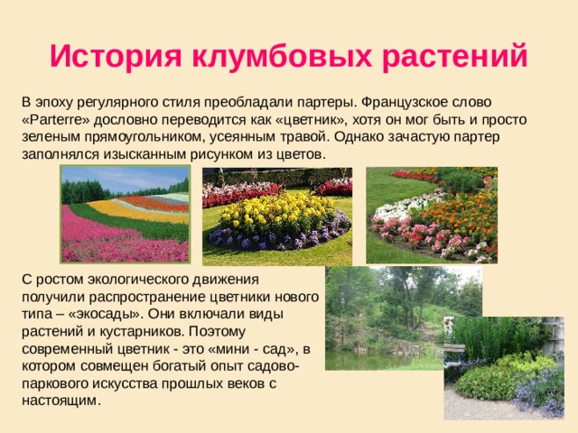 История клумбовых растений В эпоху регулярного стиля преобладали партеры. Французское слово «Parterre» дословно переводится как «цветник», хотя он мог быть и просто зеленым прямоугольником, усеянным травой. Однако зачастую партер заполнялся изысканным рисунком из цветов. С ростом экологического движения получили распространение цветники нового типа – «экосады». Они включали виды растений и кустарников. Поэтому современный цветник - это «мини - сад», в котором совмещен богатый опыт садово-паркового искусства прошлых веков с настоящим. 