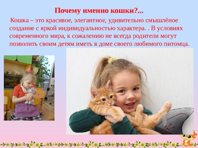 Именно кошек