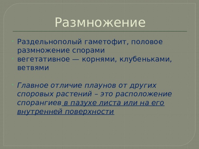 Размножение Раздельнополый гаметофит, половое размножение спорами вегетативное — корнями, клубеньками, ветвями   Главное отличие плаунов от других споровых растений – это расположение спорангиев  в пазухе листа или на его внутренней поверхности     