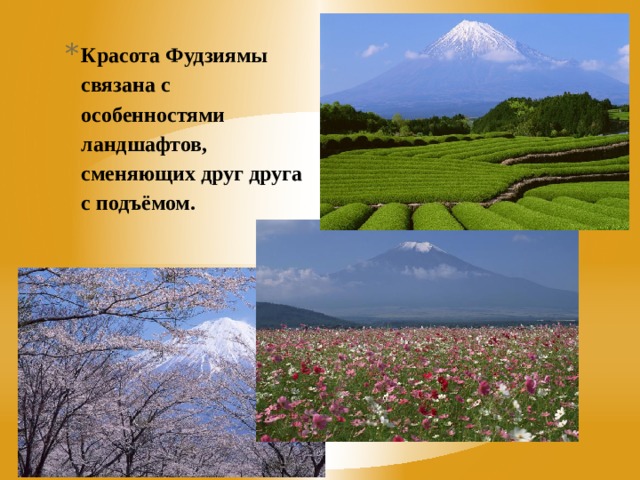 Красота Фудзиямы связана с особенностями ландшафтов, сменяющих друг друга с подъёмом.