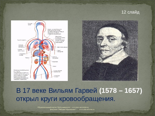 В 17 веке Вильям Гарвей (1578 – 1657) открыл круги кровообращения. 12 слайд Образовательный портал Мой университет - www.moi-univtrsitet.ru факультет 