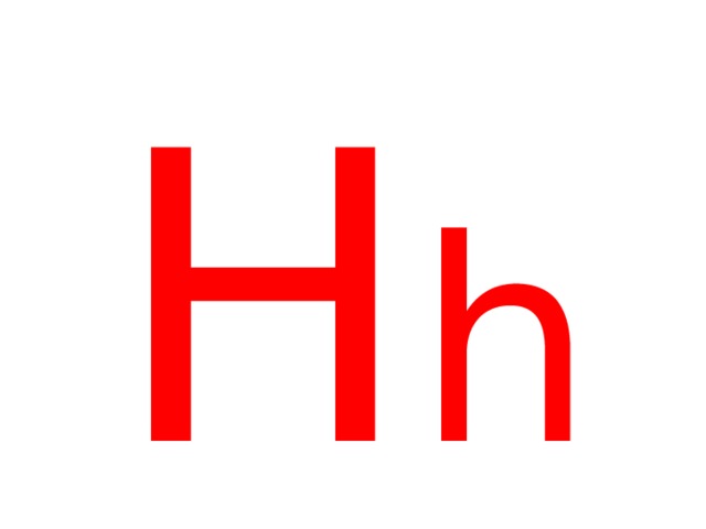 H h 