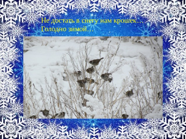 Не достать в снегу нам крошек… Голодно зимой… 